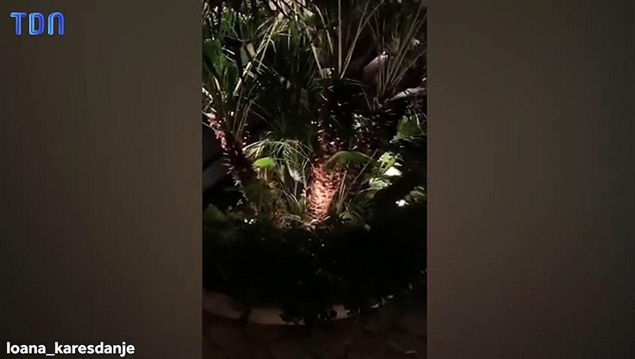 "Je me mets à 4 pattes" : Complètement ivre, Loana oublie qu'elle est en plein direct