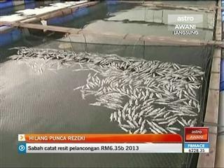 Penternak ikan hilang punca rezeki