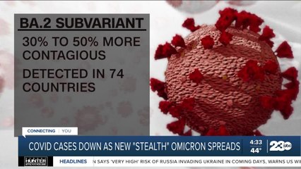 'Stealth' COVID omicron subvariant is spreading