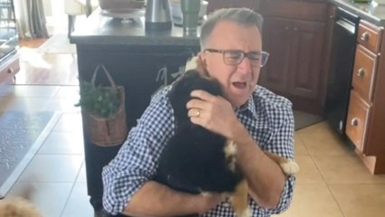 Man Reunited With Puppy That Ran Away | Happily TV