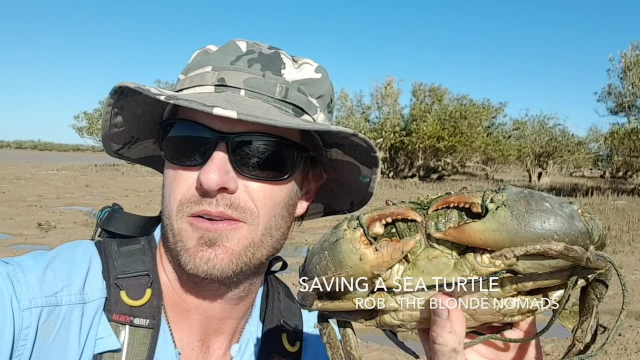 Turtle Stranded In Mud Rescued By Kind Traveler | Happily TV