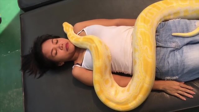 Zoo Offers Snake Massages | Happily TV