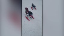 Special Needs Dogs Play In Snow Thanks To Modified Wheelchairs | Happily TV