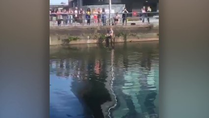 Passerby Saves Man And Dog From River | Happily TV