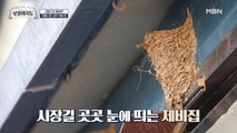 꽃 피는 봄이 오면~ 강남 갔던 제비가 돌아온다? 대룡시장의 보물 제비집을 찾아라