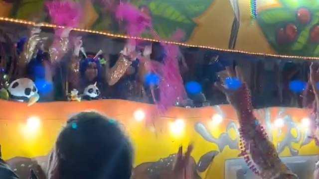 Mardi Gras Parade Gender Reveal | Happily TV