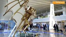 L’Aeroporto di Fiumicino è il più apprezzato in Europa