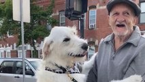 Dog Reunites With Beloved Neighbor After Two Months | Happily TV