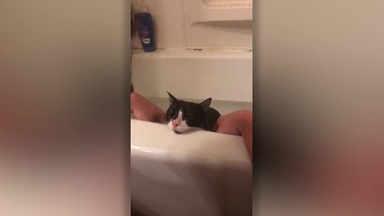 Cat Yells 'No' At Owner Trying To Bathe Him | Happily TV