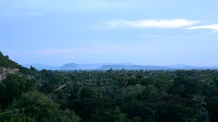 Millions Of Bats Burst From Cave In Mass Exodus To Hunt | Happily TV