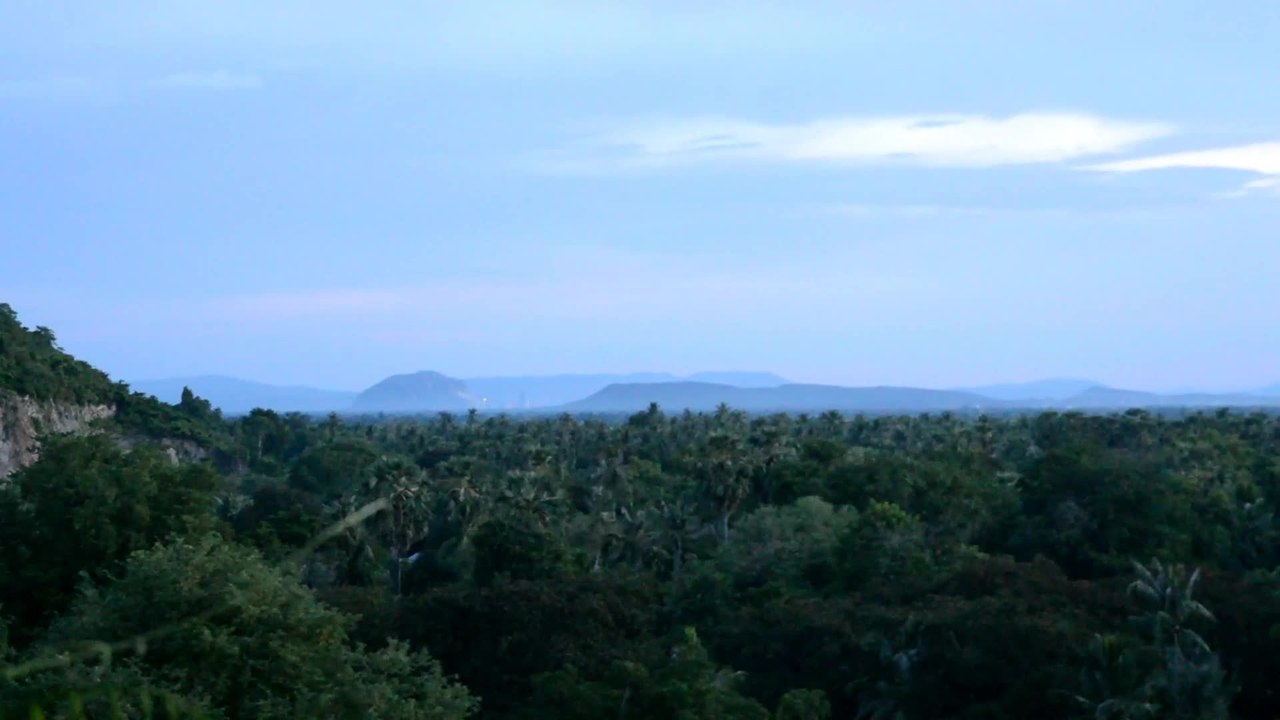 Millions Of Bats Burst From Cave In Mass Exodus To Hunt | Happily TV