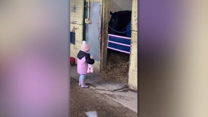 Horses Bow So Little Girl Can Pet Them Goodnight With Doll | Happily TV