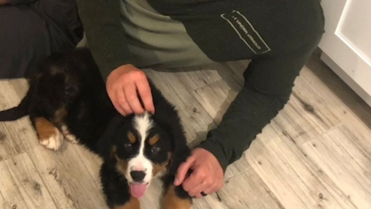 Surprise Scavenger Hunt Leads Husband To Puppy | Happily TV