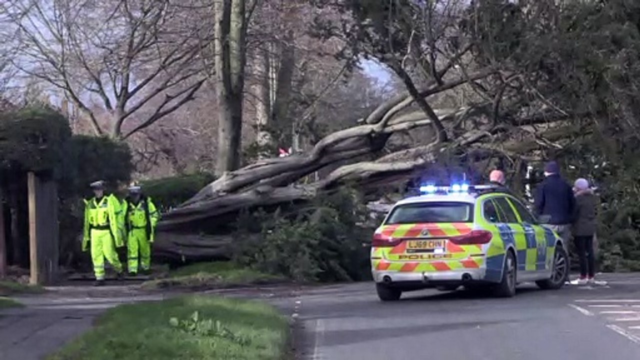 Storm Eunice: A24 among roads blocked by fallen trees in Adur and Worthing