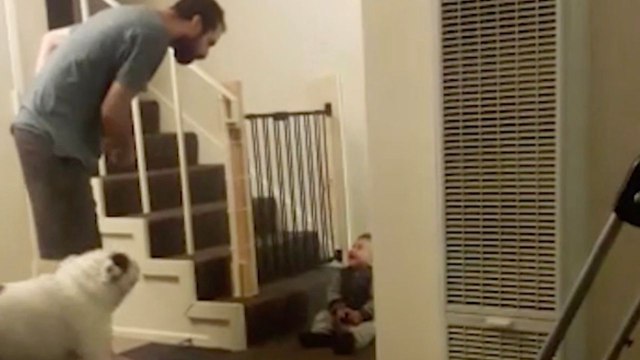 Baby Bursts Into Giggles Whenever Dad Tells Him Off | Happily TV