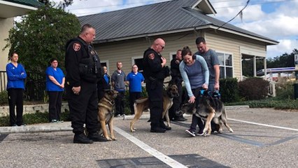 Aging Military Dog Given Guard Of Honor Sendoff | Happily TV