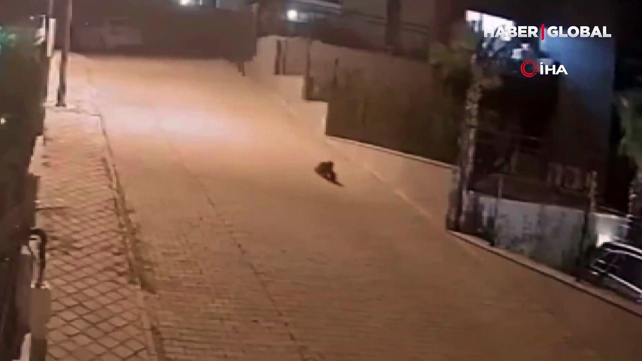 Aydın'da ilginç ayakkabı hırsızlığı! Hırsız ked...