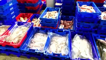 Luximer, une poissonnerie en ligne qui fait du frais !