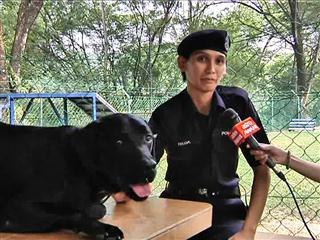 K9: Four-legged crime busters