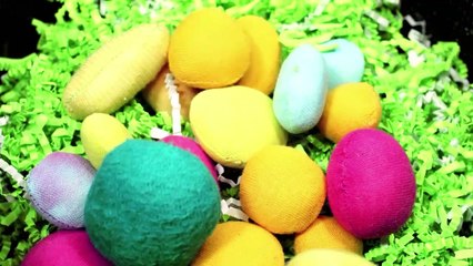 Clase de Ingles de 10mo Grado de Secundaria a distancia en el Campo