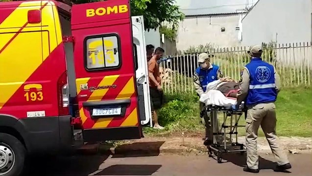 Homem cai da escada enquanto podava árvore e fica ferido