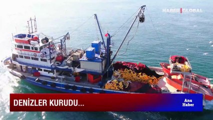 Denizden zam çıkıyor! Ağlar boş, etiketler kabarık