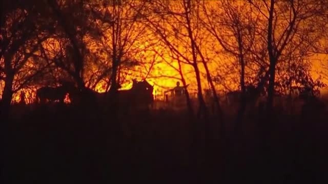 500.000 hectáreas calcinadas al nordeste de Argentina