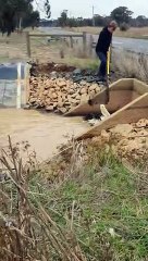 Rescuing a Pelican with a Broken Wing in an Irrigation Channel