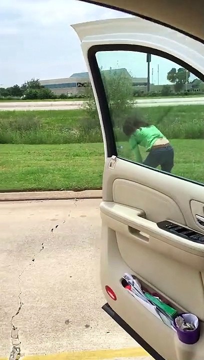Trying to Save Snapping Turtle
