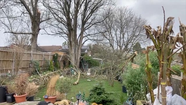 Transport disrupted, trees fallen and lorries flipped as Storm Eunice batters the county