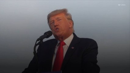 Donald Trump and His 2 Eldest Children Must Testify in NY Fraud Investigation, Judge Rules