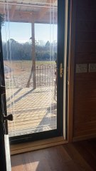 Smart Pup Lets Himself In