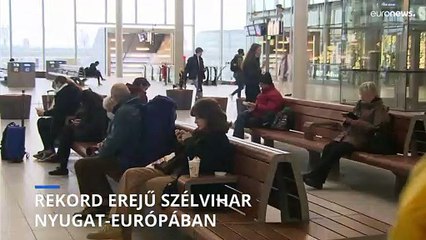 Fákat döntött emberekre a Eunice vihar Hollandiában