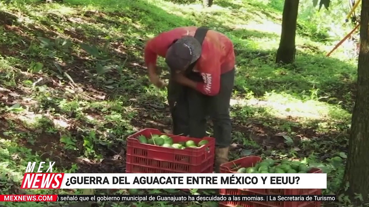 LUCHA CONTRA LA CONTAMINACIÓN DE LOS CANALES DE XOCHIMILCO