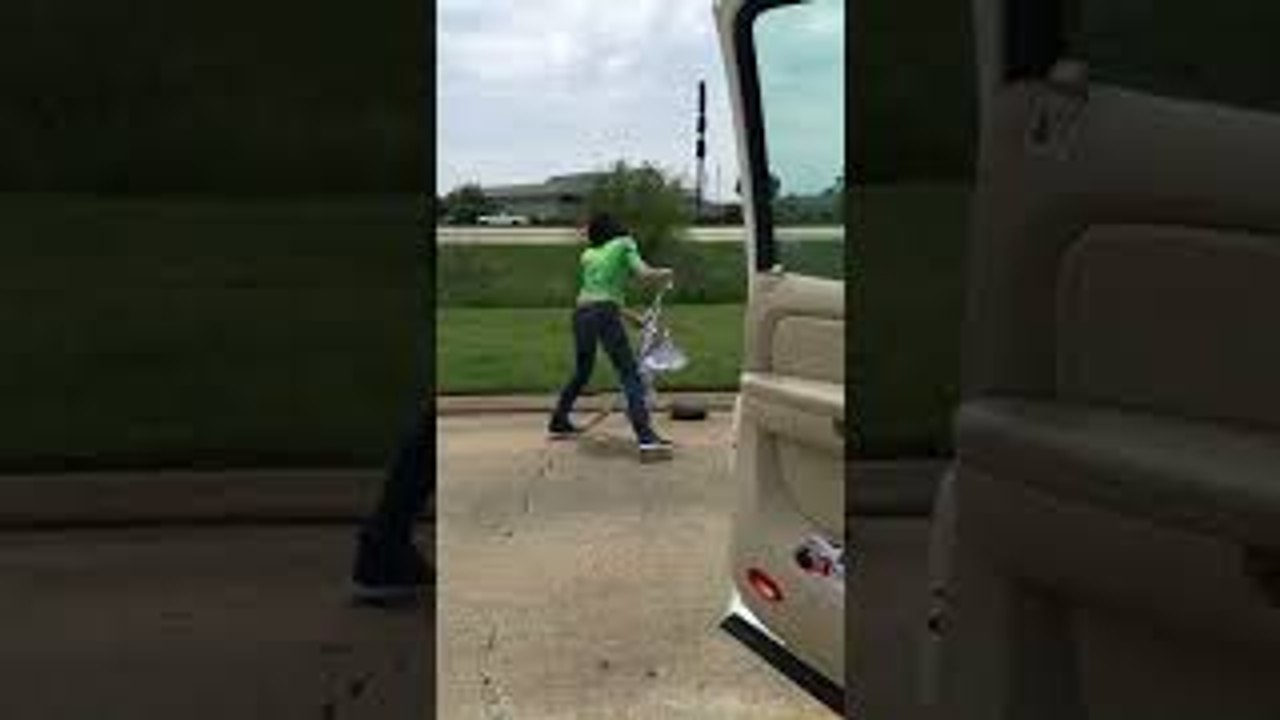 Trying to Save Snapping Turtle