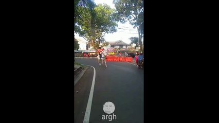 Kompilasi Video Lucu 19 Februari 2022