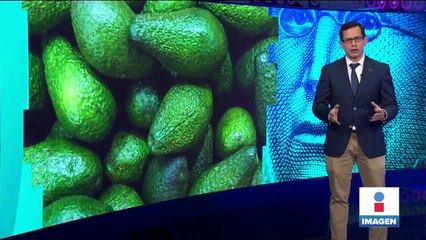 Estados Unidos reanuda la importación de aguacate desde México