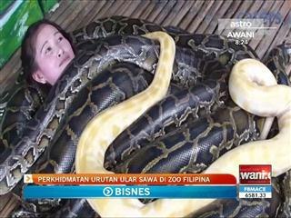 Perkhidmatan urutan ular sawa di Zoo Filipina