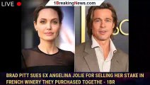Brad Pitt Sues Ex Angelina Jolie for Selling Her Stake in French Winery They Purchased Togethe - 1br