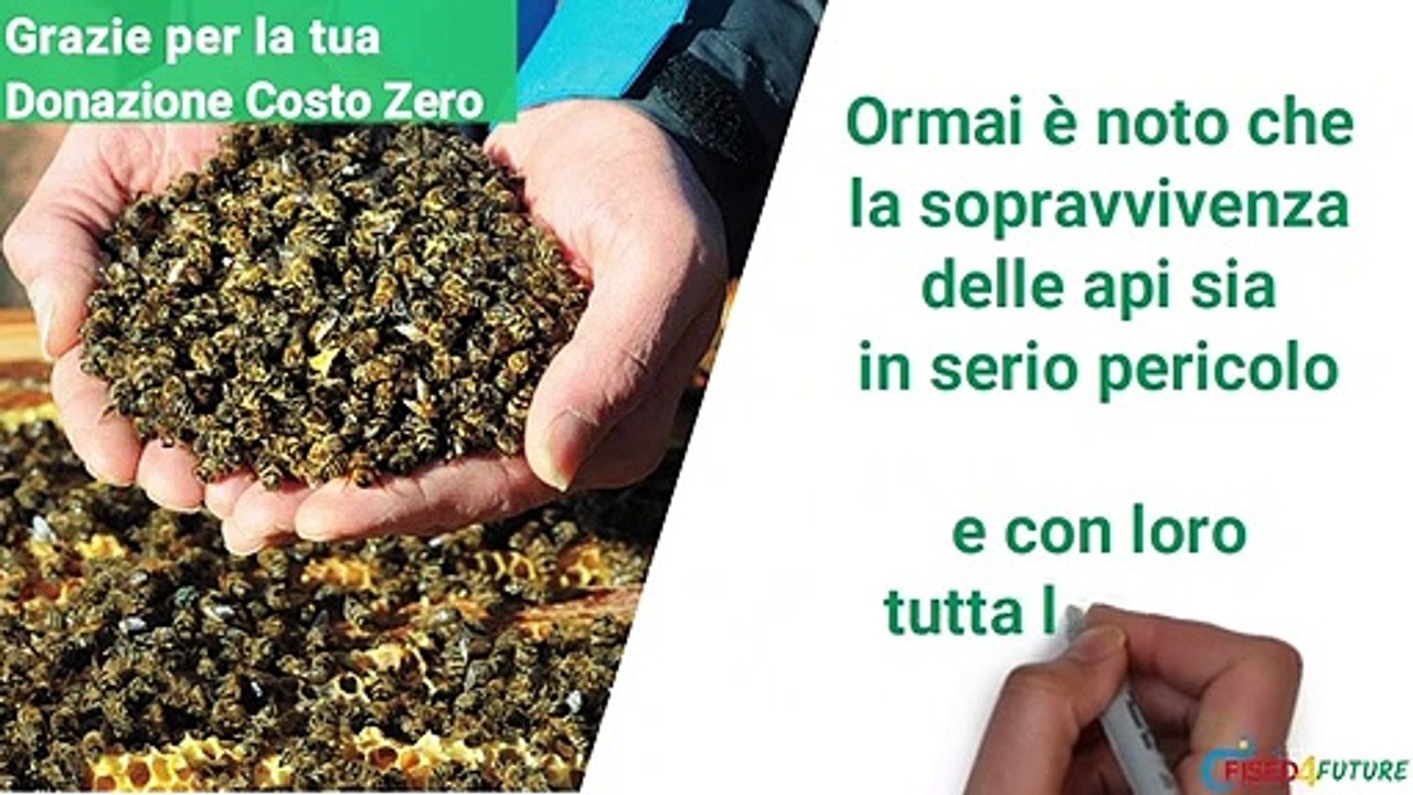 Aiuta le Api con le Donazioni Costo Zero