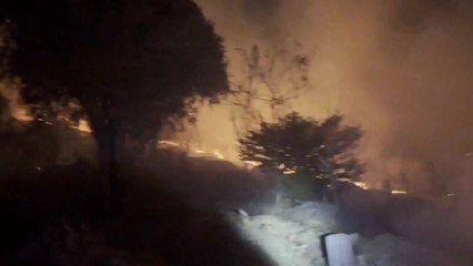 전남 여수에서 산불...임야 0.3ha 피해 / YTN