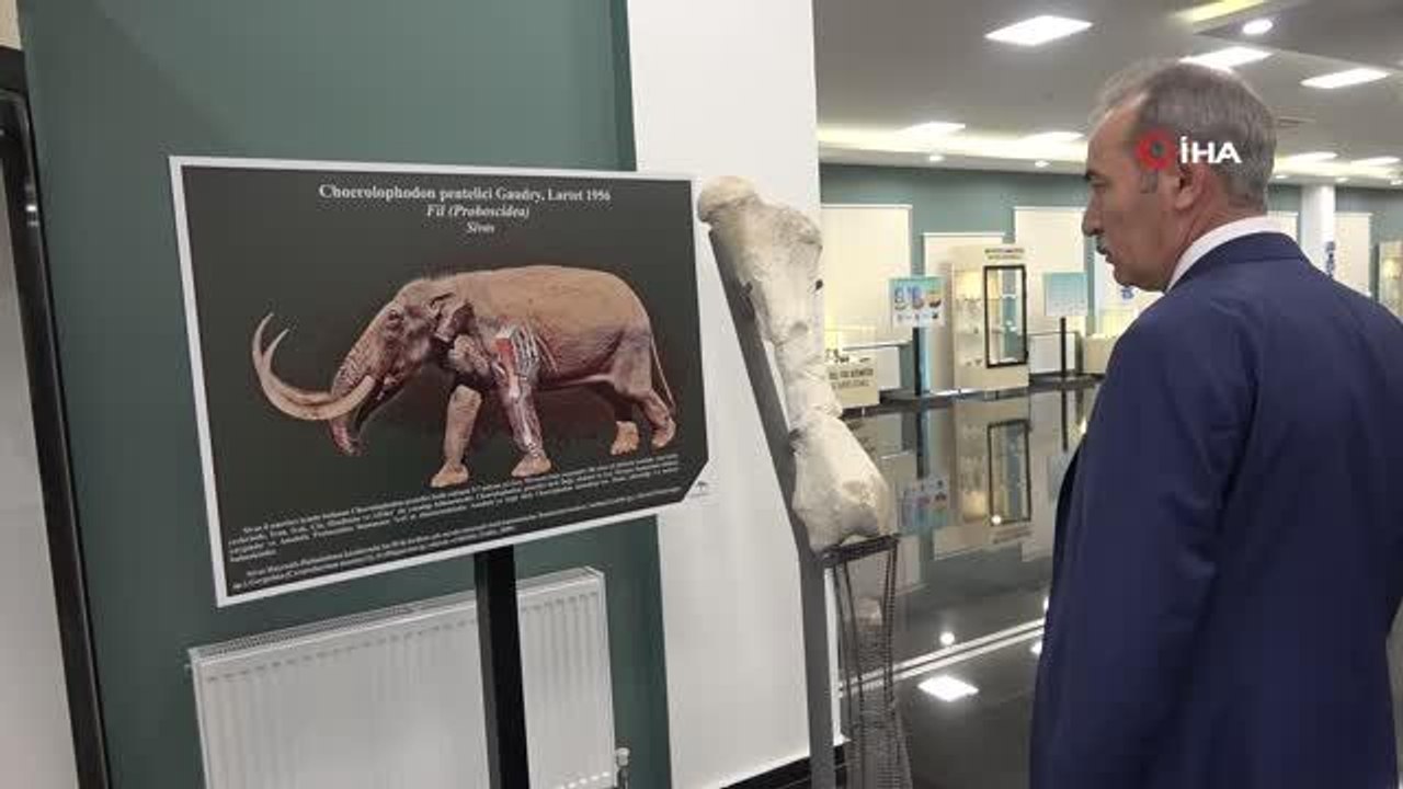 Tabiat Tarihi Müzesi ziyaretçilerini milyonlarca yıl öncesine götürüyor