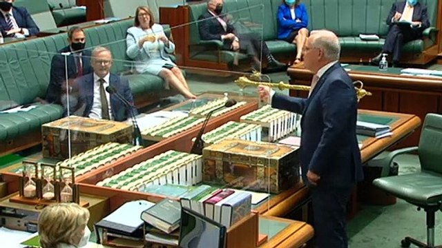 Chinese Australians worried they could be targeted after foreign interference debates