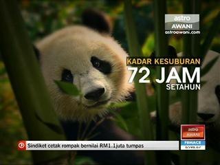 Feng Yi sedia mengawan