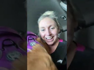 Comforting Madelyn the Golden Through First Car Wash