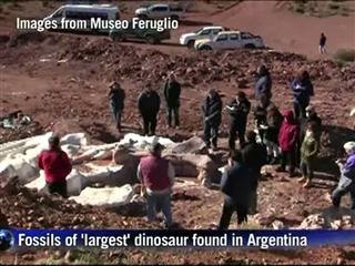 Fossils of 'largest' dinosaur found in Argentina