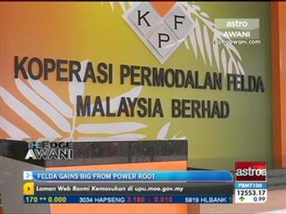 Felda gains big from Power Root