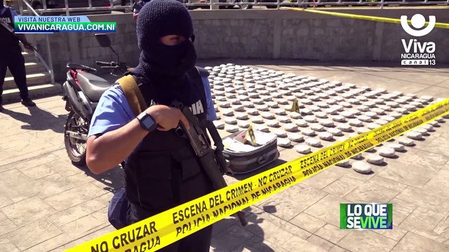 Decomisan en Managua 310 libras de marihuana valoradas en 31 mil dólares