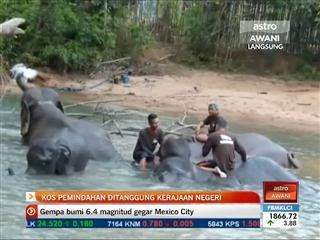 Kos pemindahan gajah ditanggung kerajaan negeri