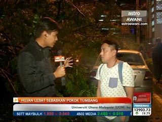 Hujan lebat sebabkan pokok tumbang